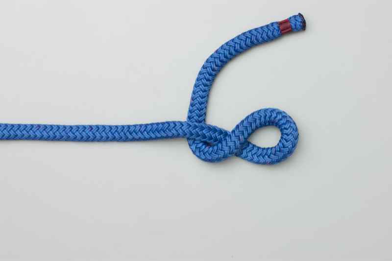 figure 8 knot dog leash