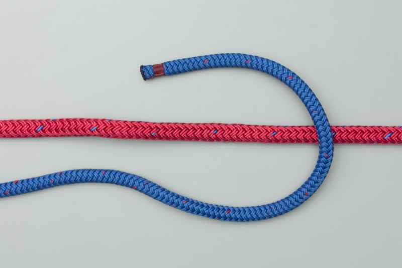 The Knot