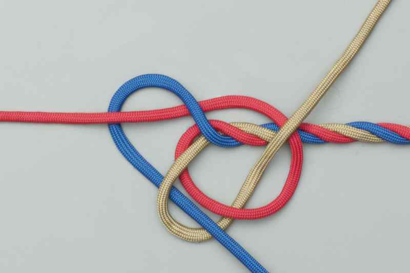 The Knot