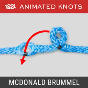 End Loop Knots | Learn How to Tie End Loop Knots using Step-by-Step ...